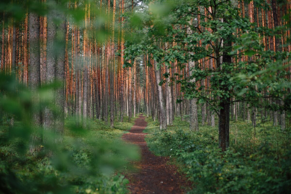 Andlig klarsyn, 2020-08-02 (Anders Johnson)